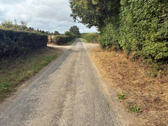 Approx. 47.8 Acres (19.33 Ha) Folkstown Lane, Balbriggan, Co. Dublin, Balrothery, Co. Dublin - Image 3