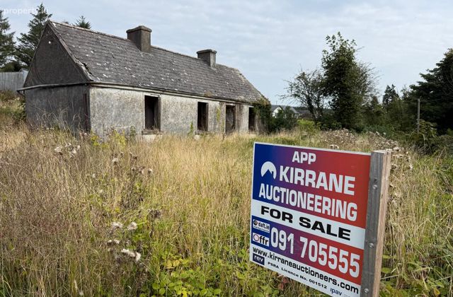 Gortnalea, Dunmore, Co. Galway - Click to view photos