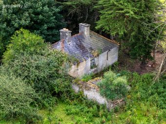 Endrim, Ferbane, Co. Offaly, Ferbane, Co. Offaly - Image 2