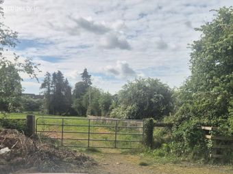 Agricultural Land, Abbey Meadows, Castledermot, Co. Kildare, Castledermot, Co. Kildare - Image 3