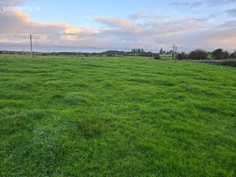 Runnaruag, Or Clogher More, ( Raheen ), Elphin, Co. Roscommon - Image 5