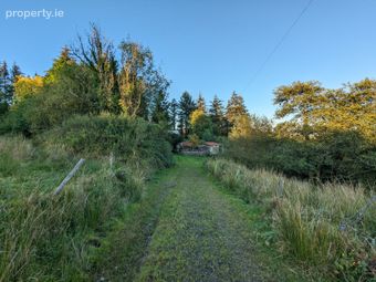 Dernaheltymore Aughnasheelan Ballinamore Co Leitrim, Aughnasheelan, Co. Leitrim - Image 4