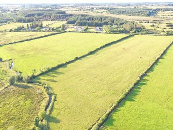 Cloonbonniff, Castlerea, Co. Roscommon - Image 4