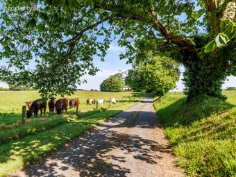 Martry House, Navan, Co Meath, Kells, Co. Meath - Image 5