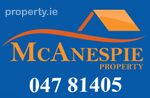 McAnespie Property