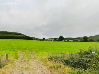 Lands Coolfree, Ardpatrick, Kilmallock, Co. Limerick - Image 5