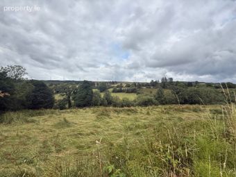 Lands At Lurragh, Ballyfarnon, Co. Roscommon, Folio Rn7797f, Ballyfarnon, Co. Roscommon - Image 4