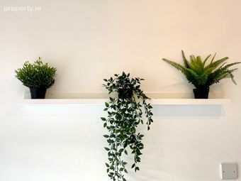 57 Fitzwilliam Square North, Dublin 2, Dublin 2 - Image 4