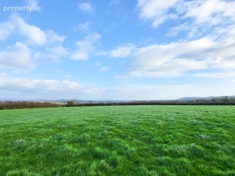 Mileshogue, Camolin, Gorey, Co. Wexford - Image 2
