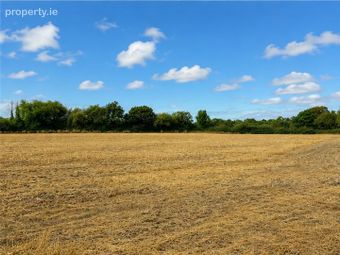 C. 21 Acres, Blackchurch &amp; Tuckmilltown, Kill, Co. Kildare - Image 5