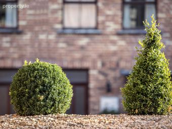 Apartment 19, Shaw Court, Portobello, Dublin 8 - Image 4