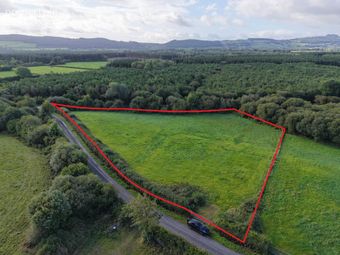 Ballylanigan, Mullinahone, Co. Tipperary, Mullinahone, Co. Tipperary - Image 2