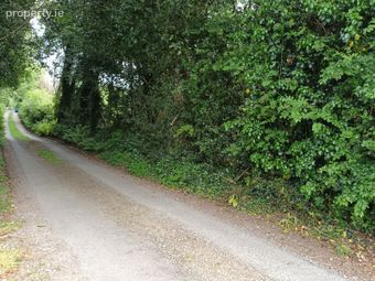Kilmacoo, Avoca, Co. Wicklow