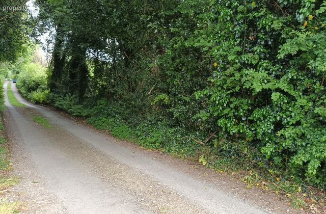 Kilmacoo, Avoca, Co. Wicklow - Click to view photos