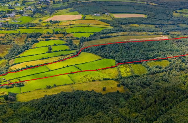 Cappaghduff East, Tourmakeady, Co. Mayo - Click to view photos