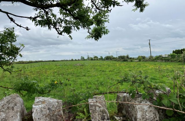 Annagh Hill, Ballyglunin, Co. Galway - Click to view photos