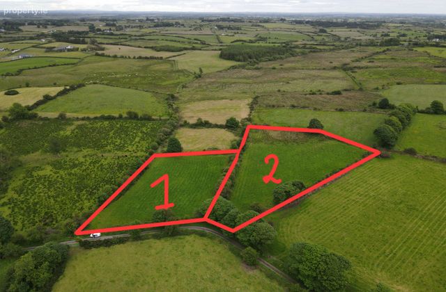 Attishane, Garranlahan, Co. Roscommon - Click to view photos