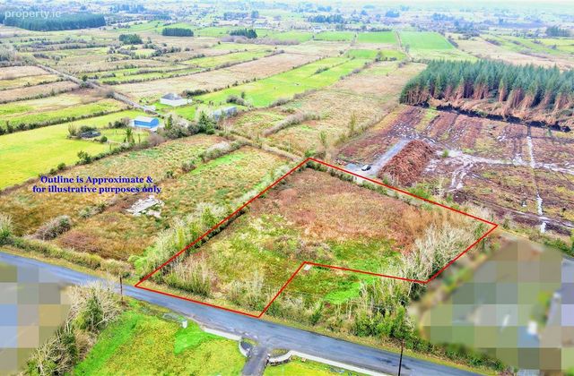 Currasallagh, Lisacul, Roscommon, Lisacul, Co. Roscommon - Click to view photos