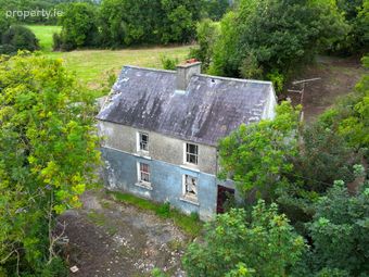 Dingins, Lough Gowna, Co. Cavan - Image 2