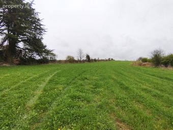 Ballynorth, Askeaton, Co. Limerick
