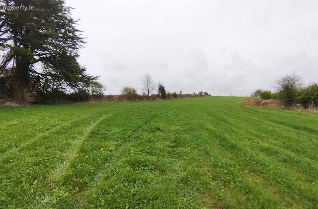 Ballynorth, Askeaton, Co. Limerick - Click to view photos