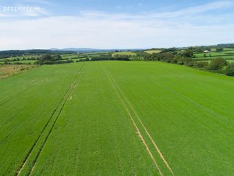 Rathroe, Killenaule, Thurles, Co. Tipperary - Image 2