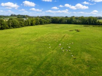 C. 15.36 Acres, Newtown, Shanacloon Lane, Kildare, Co. Kildare - Image 2