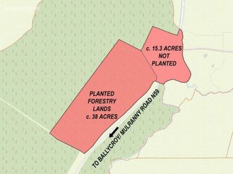 C. 53.3 Acres Of Forestry, Castlehill, Ballycroy, Co. Mayo, Ballycroy, Co. Mayo - Image 5