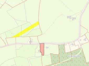 Killalongford, Clonmore, Co. Carlow, Clonmore, Co. Carlow - Image 4
