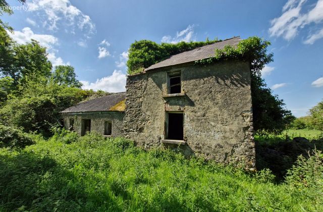Terelicken, Ballymahon, Co. Longford - Click to view photos