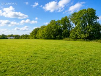 C. 15.36 Acres, Newtown, Shanacloon Lane, Kildare, Co. Kildare - Image 3