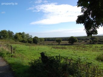Rooska East, Carrigkerry, Carrigkerry, Co. Limerick - Image 4