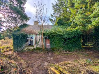 Derelict Cottage At Carracastle, Carracastle, Co. Mayo