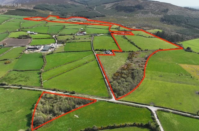 Dranagh, St. Mullins, Co. Carlow - Click to view photos