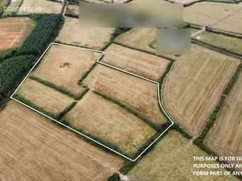 c. 8.1 acres at Horesland, Duncormick, Co. Wexford, Duncormick, Co. Wexford