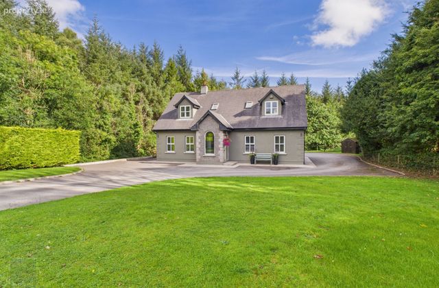 Stream, Ballyhyland, Caim, Enniscorthy, Co. Wexford - Click to view photos