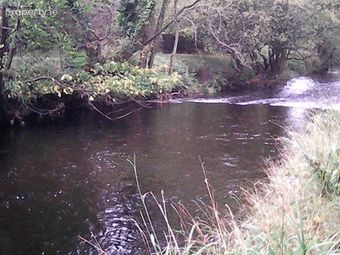 Hanalei, Newtown, Enniskerry, Co. Wicklow, Enniskerry, Co. Wicklow - Image 4