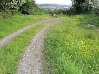 Caherlane, Abbeyfeale, Co. Limerick - Image 4