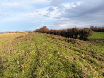Land At Ballygirreen, One Sixth Share, On Folio Ce65646f Plans 1 &amp; 19, Newmarket-on-fergus, Co. Clare, Newmarket on Fergus, Co. Clare - Image 5