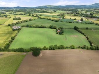 Ricketstown, Rathvilly, Co. Carlow, Rathvilly, Co. Carlow - Image 5