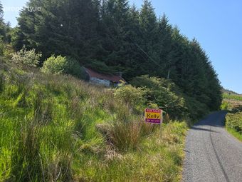 Glen, Arigna, Co. Roscommon - Image 3