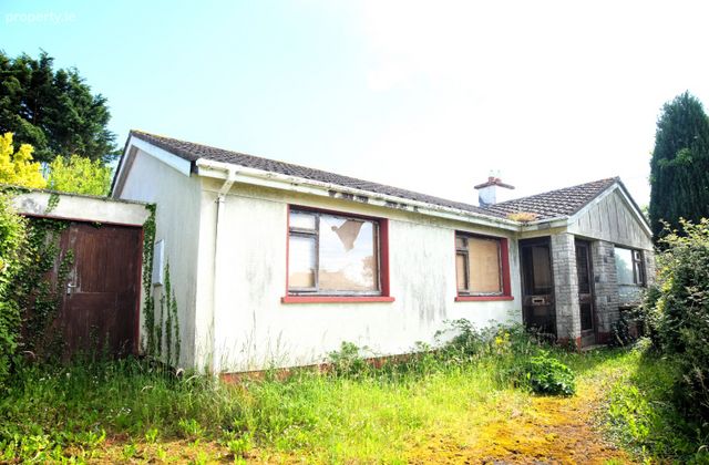 The Hill, Loughrea, Co. Galway - Click to view photos