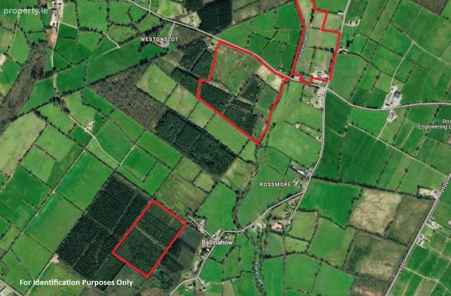 Lands Rossmore, Cashel, Co. Tipperary - Click to view photos