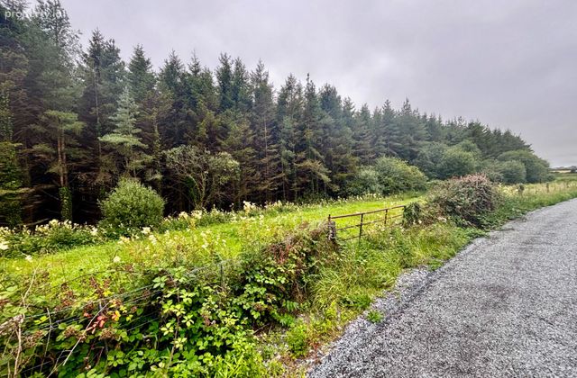 Gortagarraun, Dunmore, Co. Galway - Click to view photos