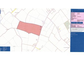 Rathmore North, Meanus, Co. Limerick - Image 4