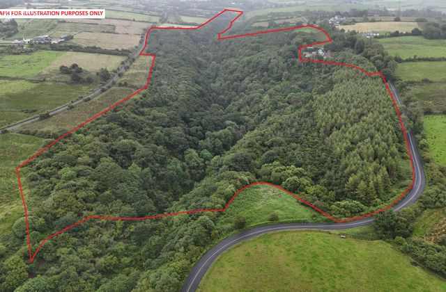 Glenastar, Carrigkerry, Newcastlewest, Limerick, Co. Limerick, Carrigkerry, Co. Limerick - Click to view photos