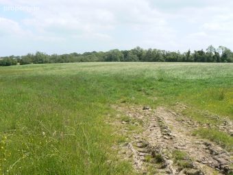 Tiaquin Demesne, Athenry, Co. Galway - Image 5