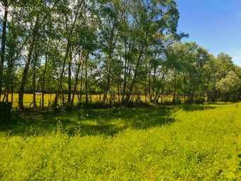 Rathmore, Carbury, Kildare, Carbury, Co. Kildare - Image 2