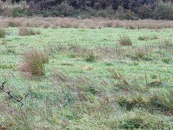 Glencollins, Ballydesmond, Co. Cork - Image 2