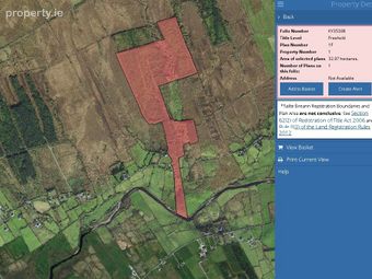 C. 81 Acres Forestry, Maulnahone, Cahersiveen, Co. Kerry - Image 3